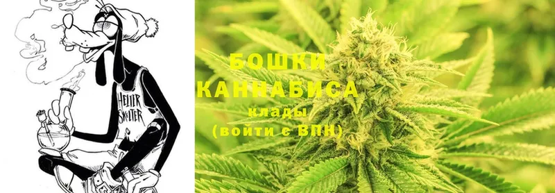 Конопля OG Kush  что такое   Байкальск 